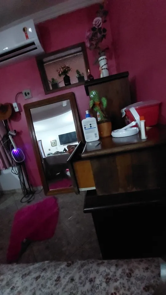 Kit 1/2 Cacto Dançante e Falante Interativo Recarregavel Reproduz Voz, Música, Dança, Luzes, Pelúcia Boneco Brinquedo+cabo photo review