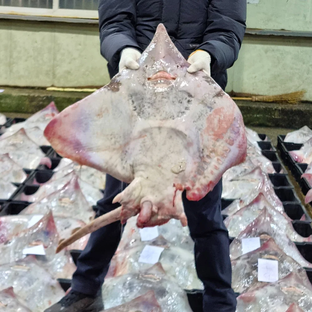 국내산 목포 흑산도 홍어 500g 1kg - AliExpress 2