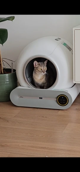 Tonepie 65L Smart Automatic Cat Litter Box with Ionic Deodorizer photo review