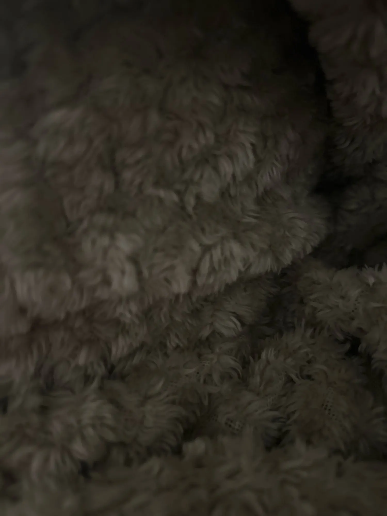 Women's Two-Piece Casual Sports Suit - Long Sleeve Set photo review