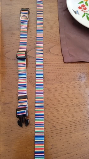 Blooming Paws: Adjustable Nylon Collar and Leash Set for Small to Medium Pets photo review