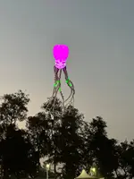 10/12M LED Kite soft Octopus night kite with battery remote control in high brightness by round corner LED well prototect kite 1