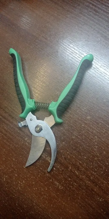 Stainless Steel Professional Gardening Shears Pruning branches Fruit trees Flowers Household Pruning Tools Shears photo review