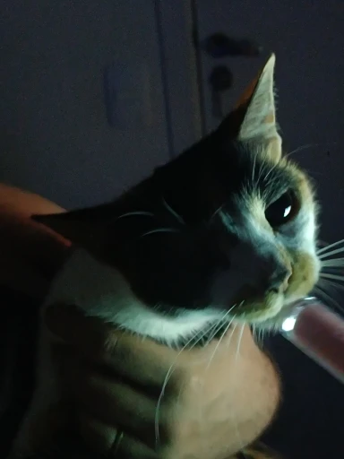 Fone De Ouvido Sem Fio Bluetooth M25 TWS Com Controle De Toque Redução De Ruído Estéreo Para Jogos Microfone - Neverdie Store photo review