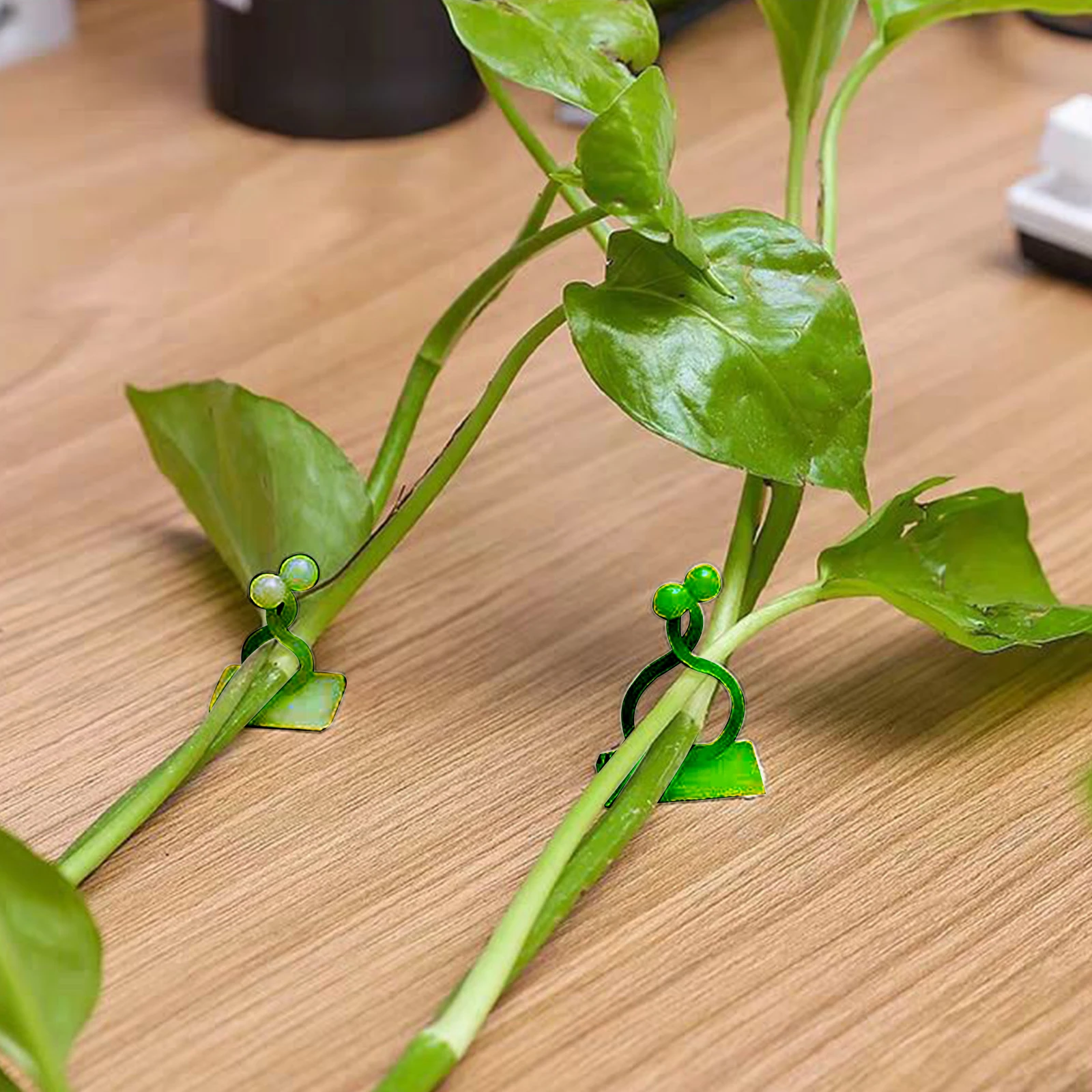 Plant Climbing Fixture Clips 10-100Pcs Plant Vine Climbing Wall Fixer Self Adhesive Hook Vines Holder