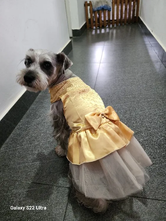 Luxury Princess Dress For Dog photo review