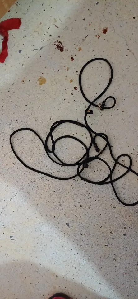 Versatile Leather Leash & Collar Combo: Perfect for Small Dogs like Chihuahuas and Bulldogs photo review