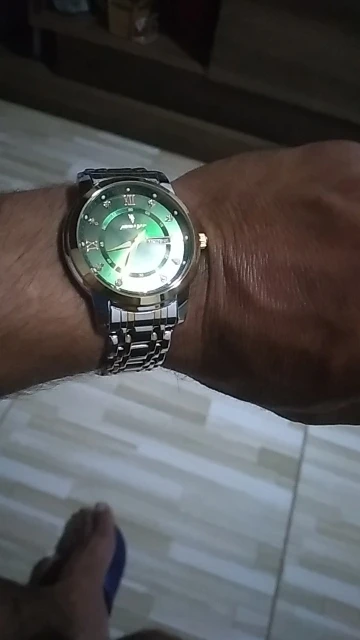 POEDAGAR Luxury Watch for Men photo review