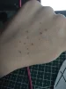 Изображение товара 3
