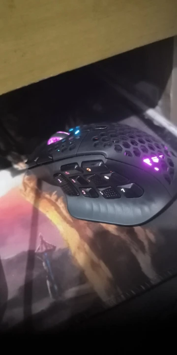 SOLAKAKA SM809 Wired RGB Gaming Mouse 22800 DPI MMO photo review