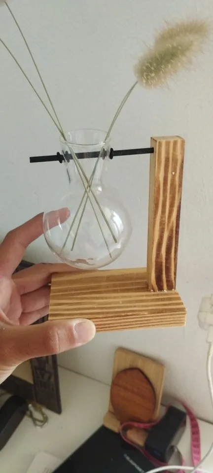 Hydroponic Plant Terrarium Vase photo review