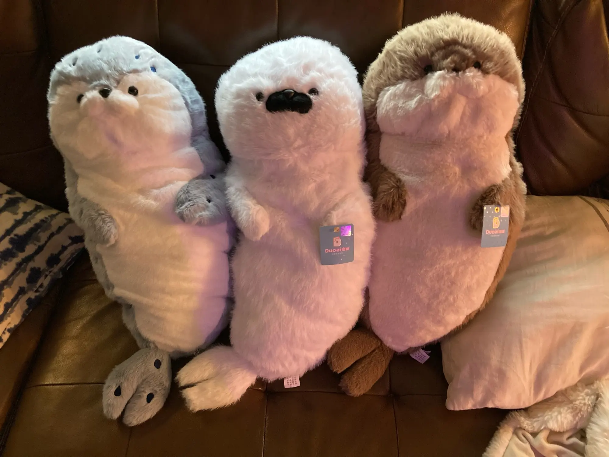 Seal and Otter Plushies photo review