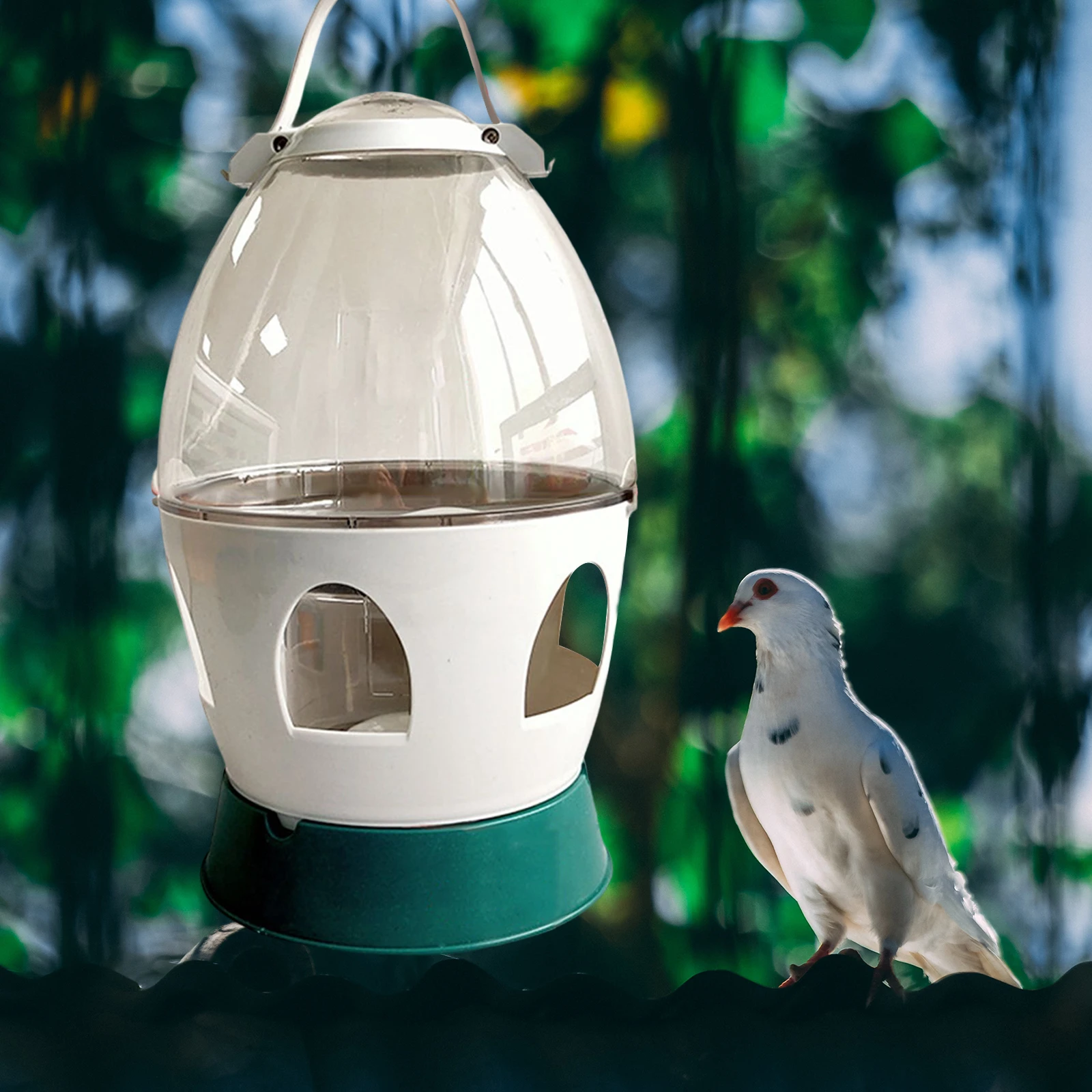 Pigeon water dispenser automatic feeder water container handle bird feeding drinker for dove duck bird cage accessories bird water drinker