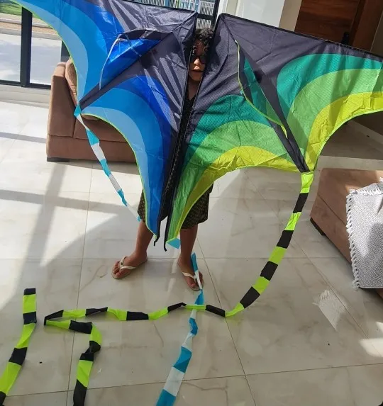 Children kites flying toys professional cometas de viento gel blaster kite flying deportes-y-ocio kite adults pipa voadora fun photo review