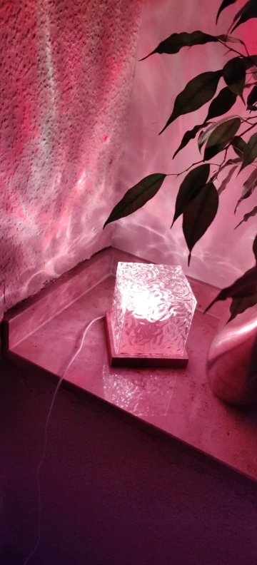 Crystal Projector Table Lamp, customer photo