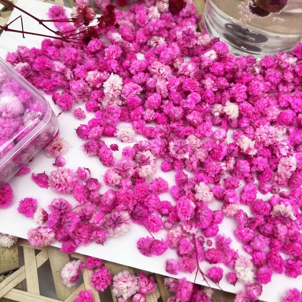 Artisan Dried Flowers for Crafting: Candle, Soap, and Nail Art Enhancements