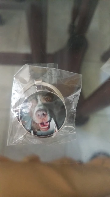 Custom Pet Photo Key Ring