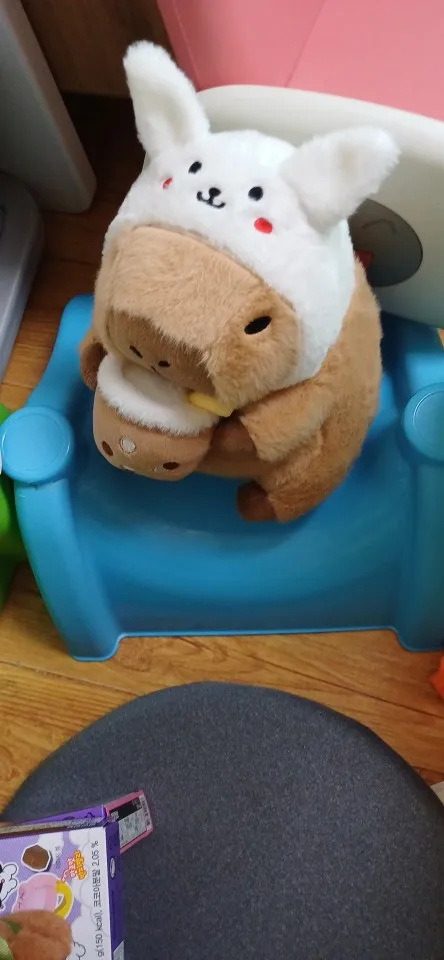 Kawaii Capybara Plushies - Bread & Flower Edition photo review