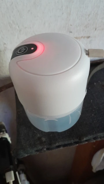 250ml Electric Garlic Masher Multi-Function Food Processor Machine photo review