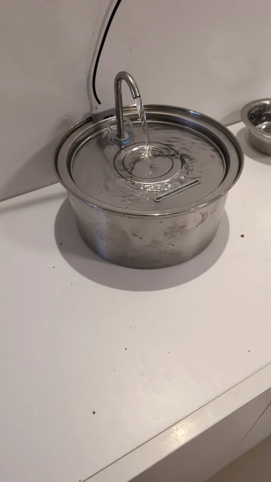 Give Your Cat Years More Healthy Life With Kitty Fast Rescue Fountain