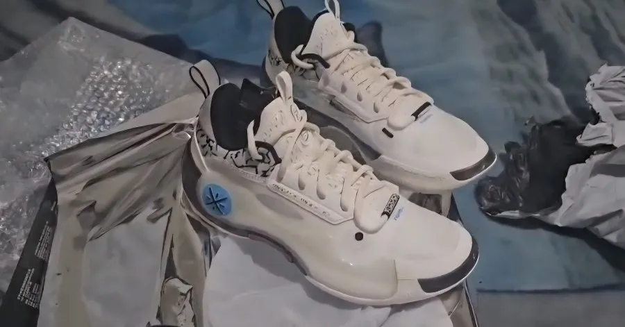 LI-NING Way of Wade 10 Tênis de Basquete Profissional DWADE ABAS083