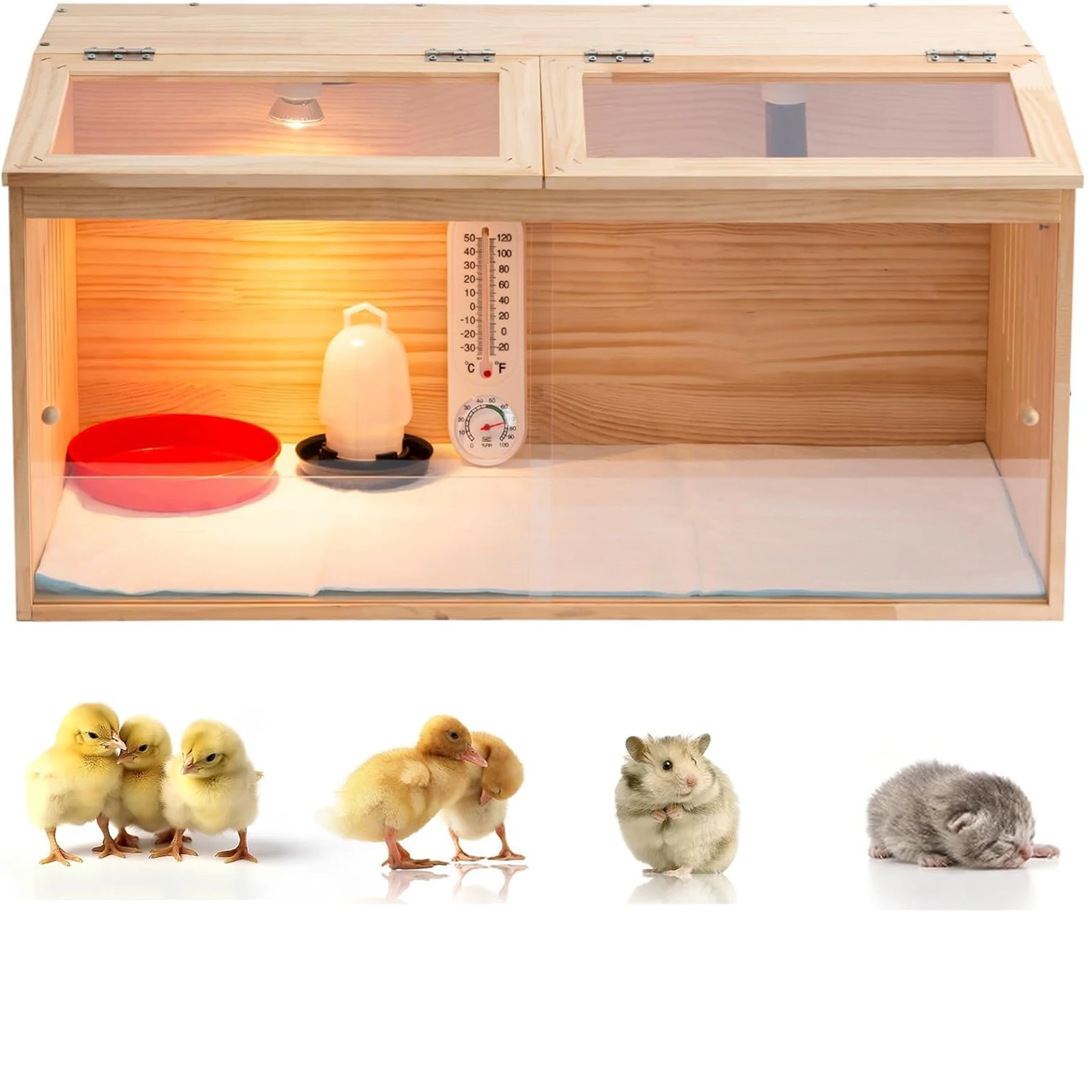 Wooden Poultry Brooder Box 3