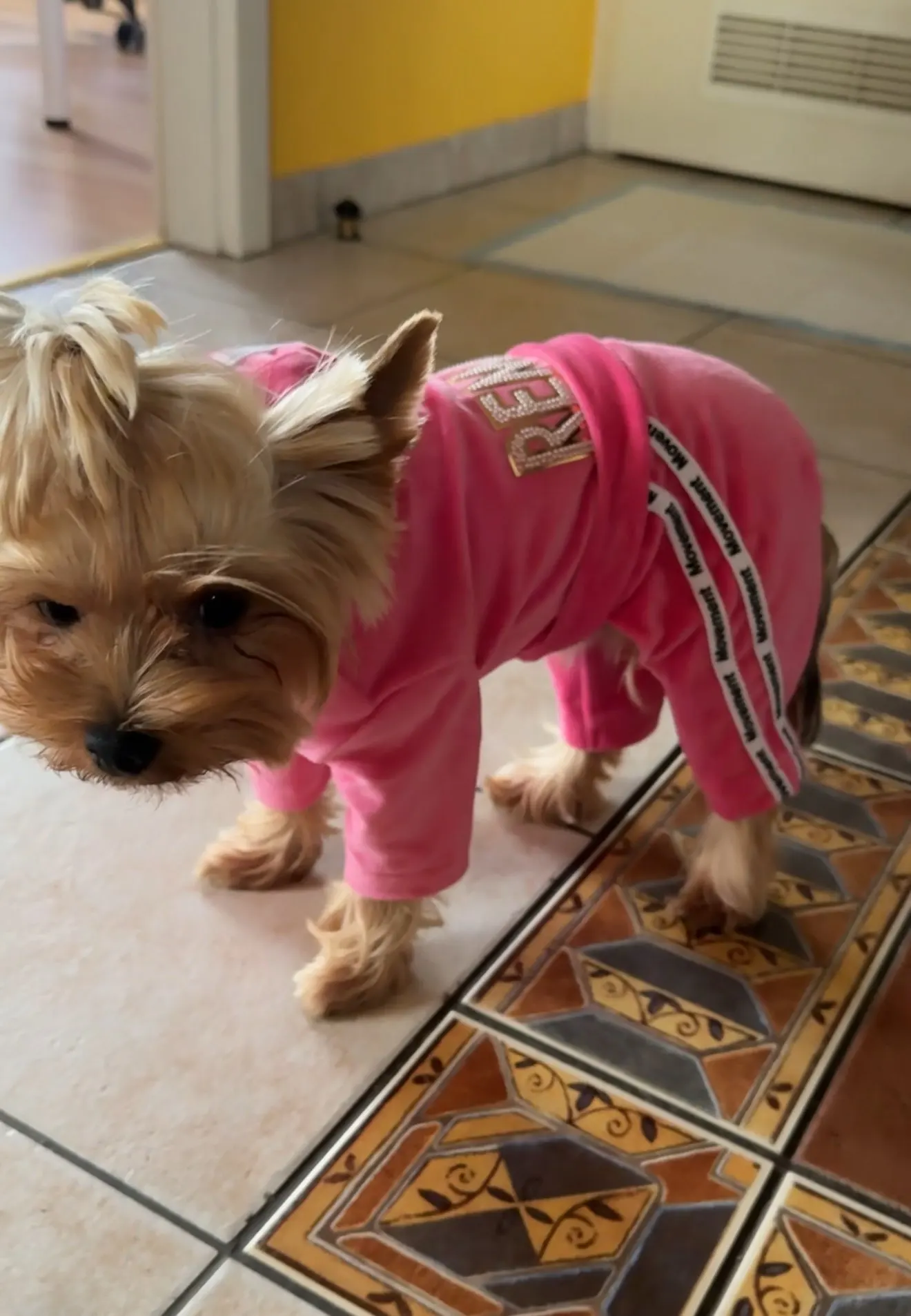 Puppy Girl Hoodies Jumpsuit photo review
