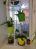 Изображение товара 5