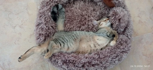 Soft Leather Commuter Tote Bag photo review