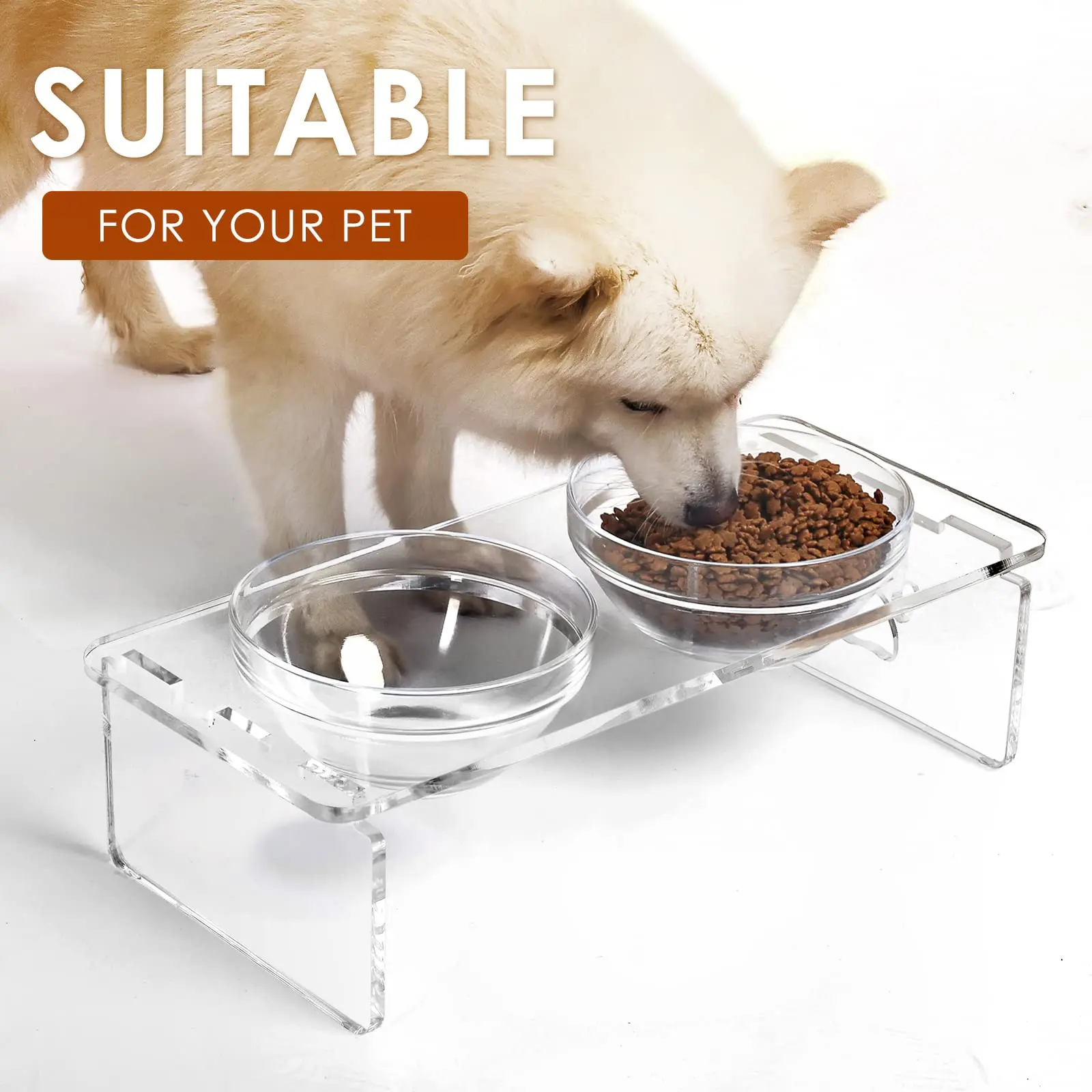 Dog and Cat Bowls Elevated Set - Acrylic Feeder Stand with 2 Set Removable Stainless Steel and Glass Bowls Food and Water Raised Dishes for Small