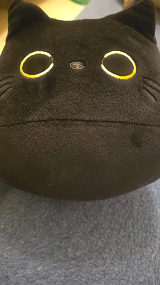 25cm Kawaii Black Cat Plush Toy Soft Stuffed Animal Pillow Black Cat Plush Doll Baby Toys Plushie Christmas Gift for Kids Girls photo review