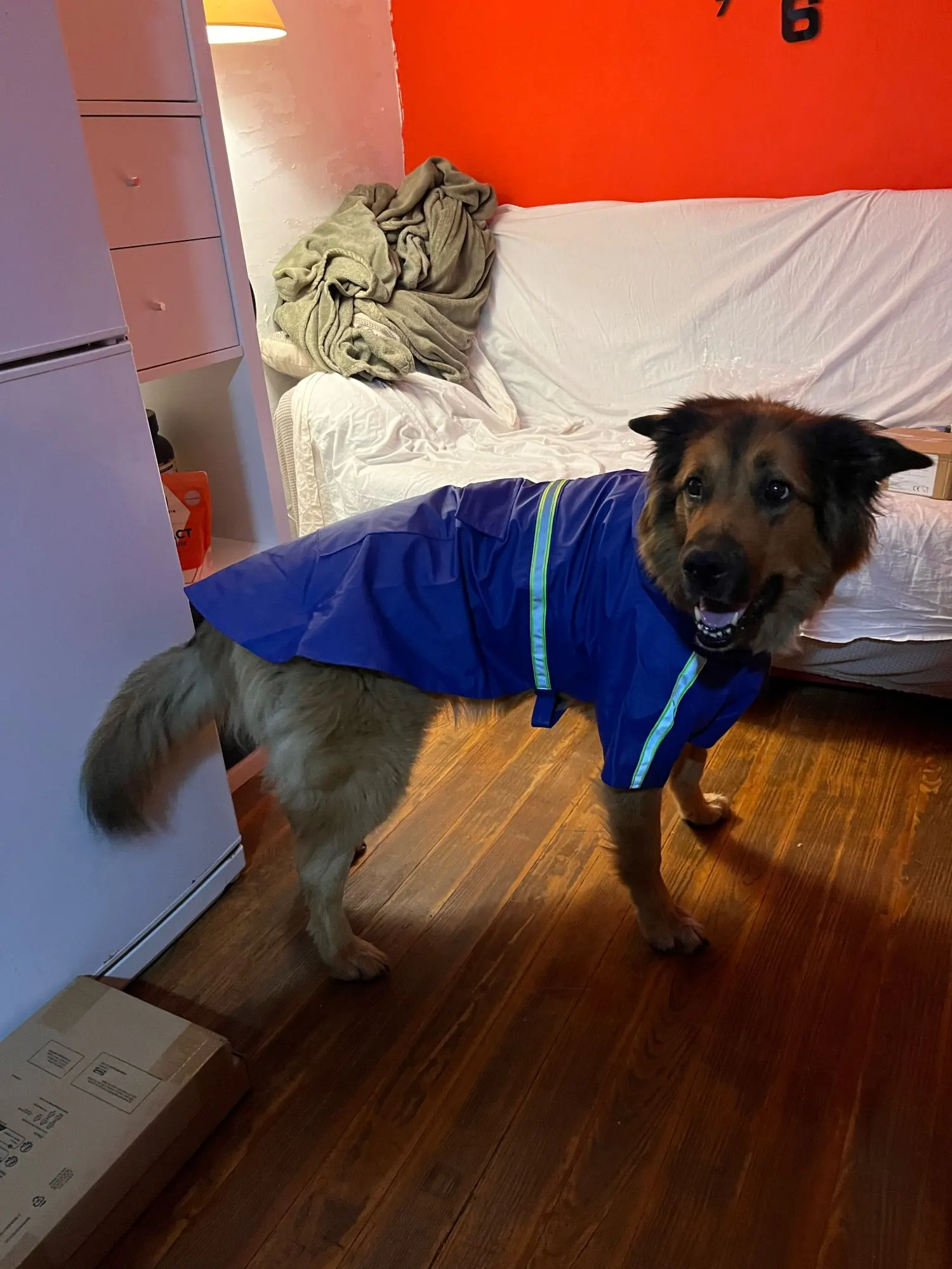 Large Dog Raincoat