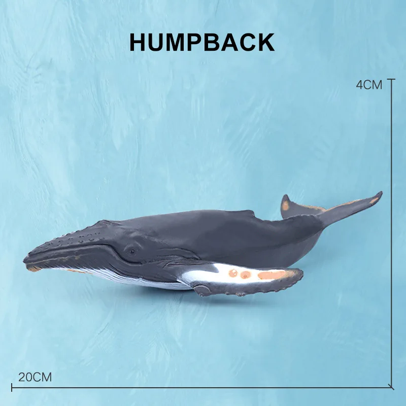 Humpback