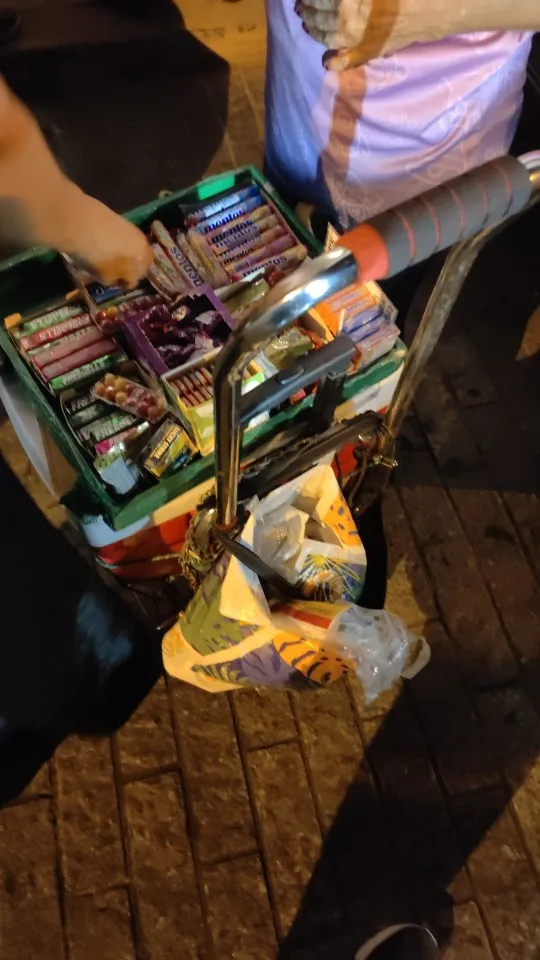 25cm Hollow Knight Anime PVC Action Figure – Collectible Model for Christmas & Thanksgiving Gifts