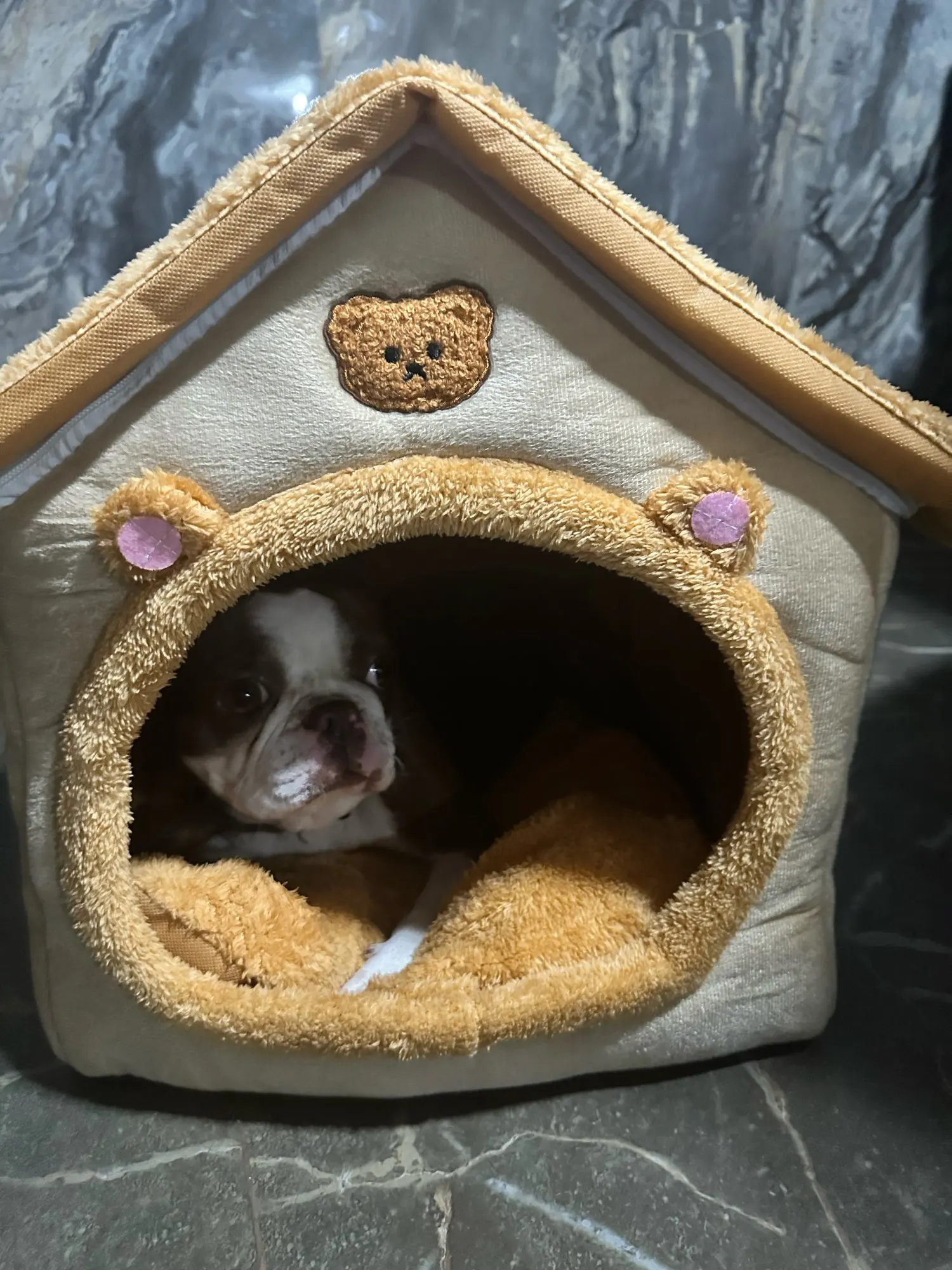 Cozy Foldable Pet House photo review