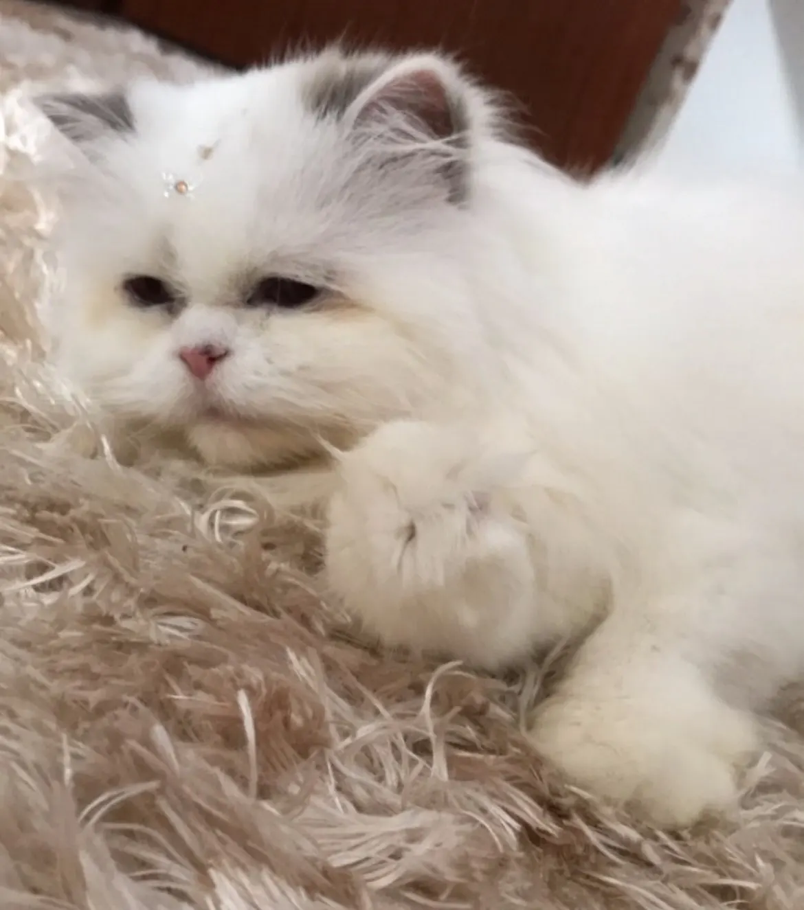 Women's Thickened Coral Velvet Pajama Set photo review