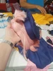 Изображение товара 1