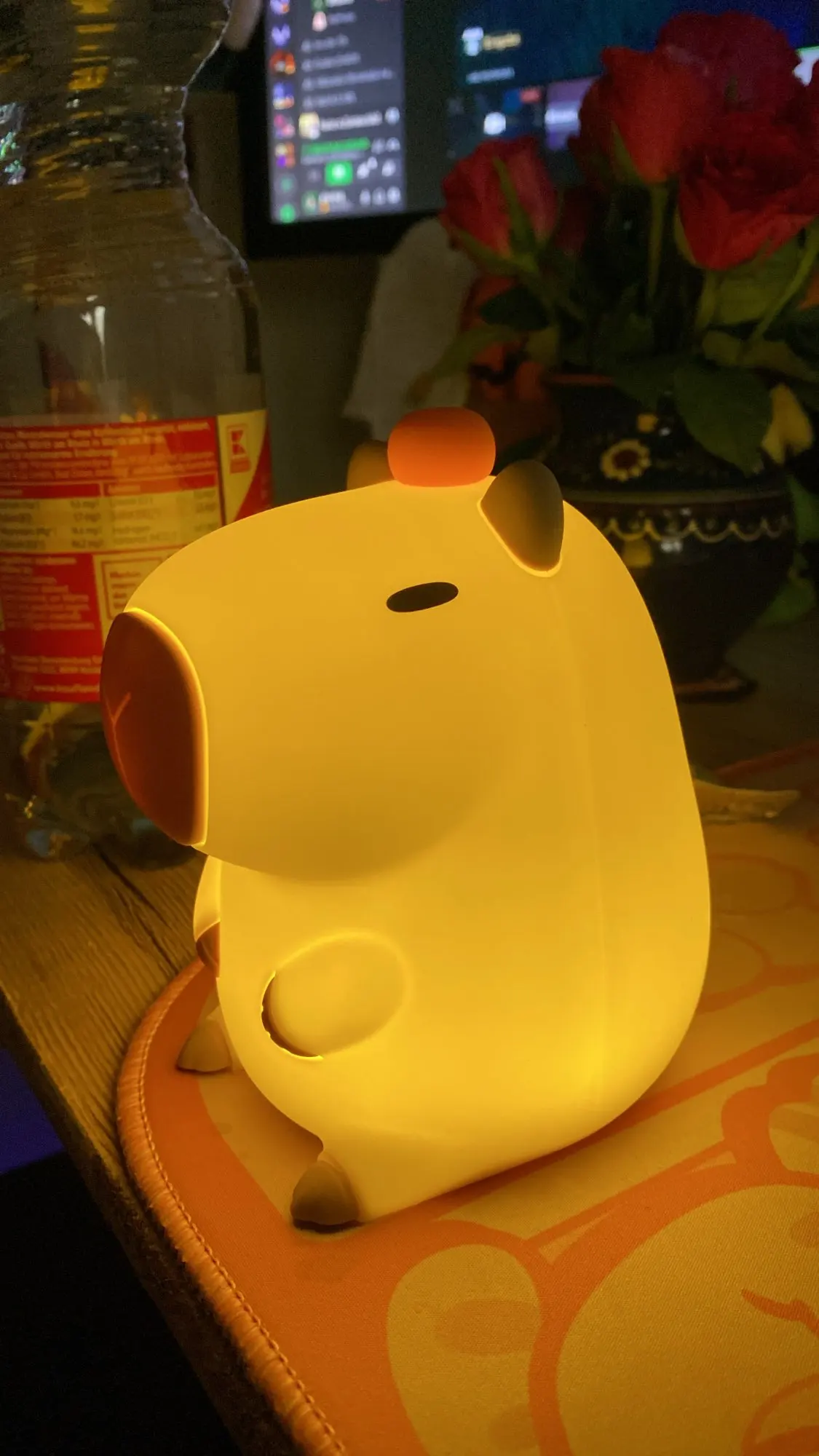 Chill Glowing Capybara Night Light ₍ᐢ•(ܫ)•ᐢ₎