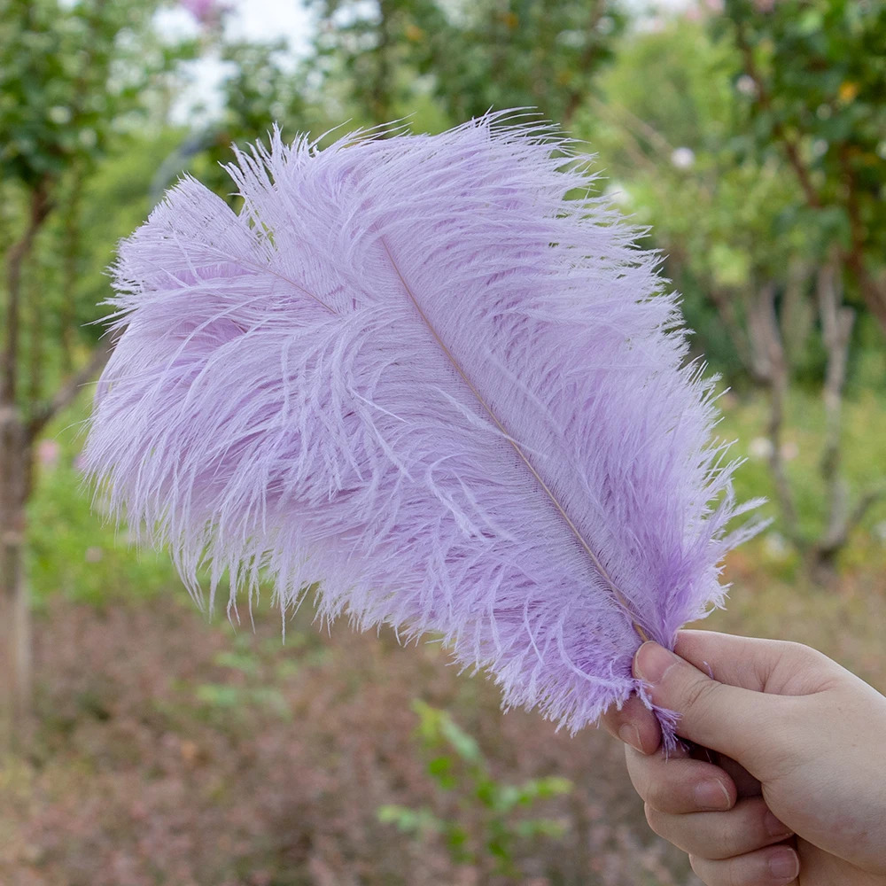 10PCS Purple Ostrich Feathers Fluffy White Feather for Crafts DIY Wedding  Centerpiece Holiday Carnival Home Decoration 15-60CM