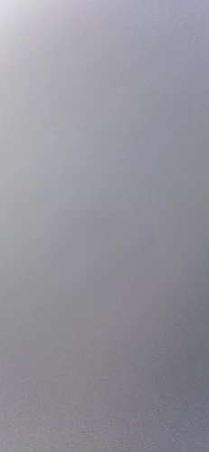 Harnais réglable pour petit chien et chat + laisse – Gilet pour Chihuahua, Bouledogue français, Carlin, promenade extérieure confortable photo review