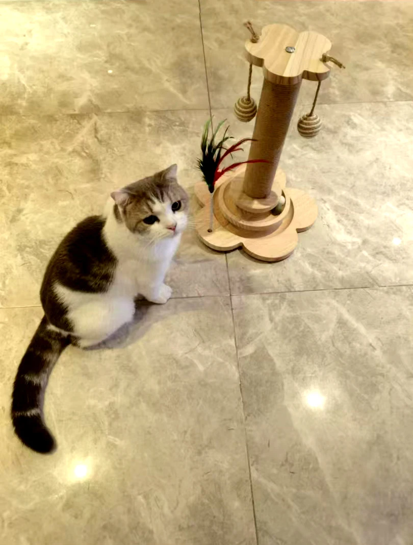 Cat Tower Durable Sisal Scratching Board Tree Pet Cat Toy Solid Wood Cat Turntable Cat Scratching Posts photo review