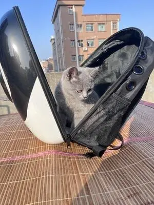 Breathable Cat Backpack Carrier for Outdoor Travel - Space Capsule Design with Portable Cage and Essential Cat Accessories photo review