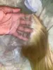 Изображение товара 5