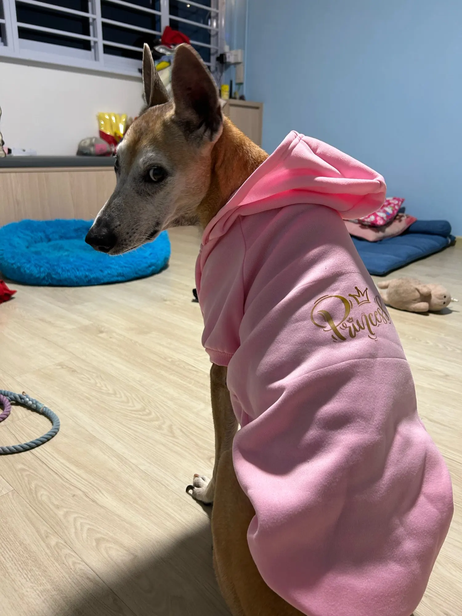 Basic Hoodie With Printed Letters For Dogs photo review