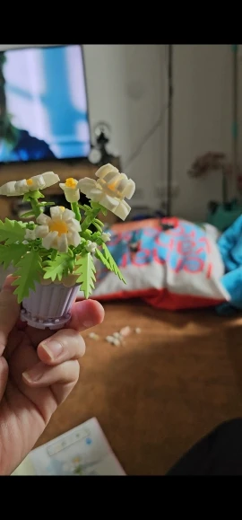 1PC Mini Succulent Flower Pot Building Blocks Simulation Flower Assembling Brick Model Kids Toys photo review