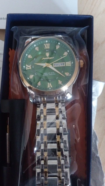 POEDAGAR Luxury Watch for Men photo review