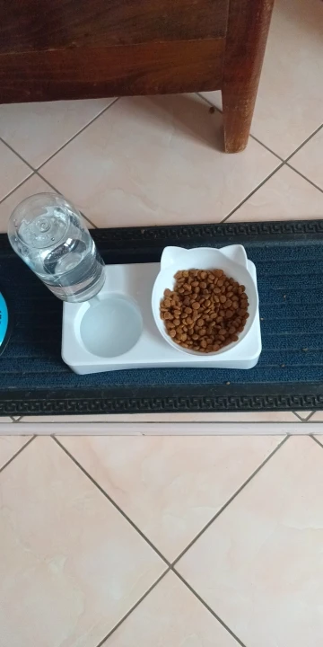 Tilted Pet Feeding Bowl photo review