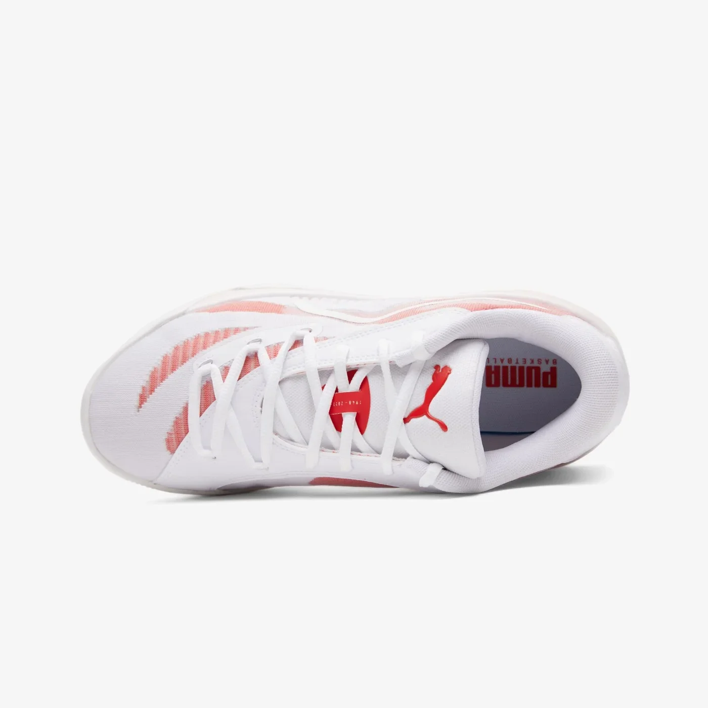Рисунок 3 - Мужские кроссовки Puma AllPro Nitro