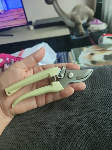 Stainless Steel Pruning Scissors Cutting Multifunctional Flower Tree Branch Bypass Garden Pruner Hand Shear Clipper Tool photo review
