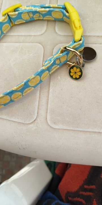 CP602/611--fruit pattern Pet dog collar with Fruit metal pendant do for Cat Puppy Dog photo review